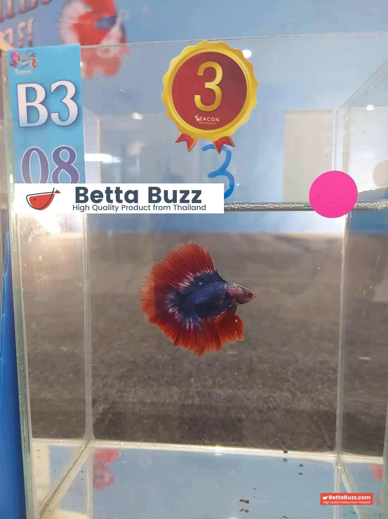 Winner 3rd place DTHM Thailand Flag