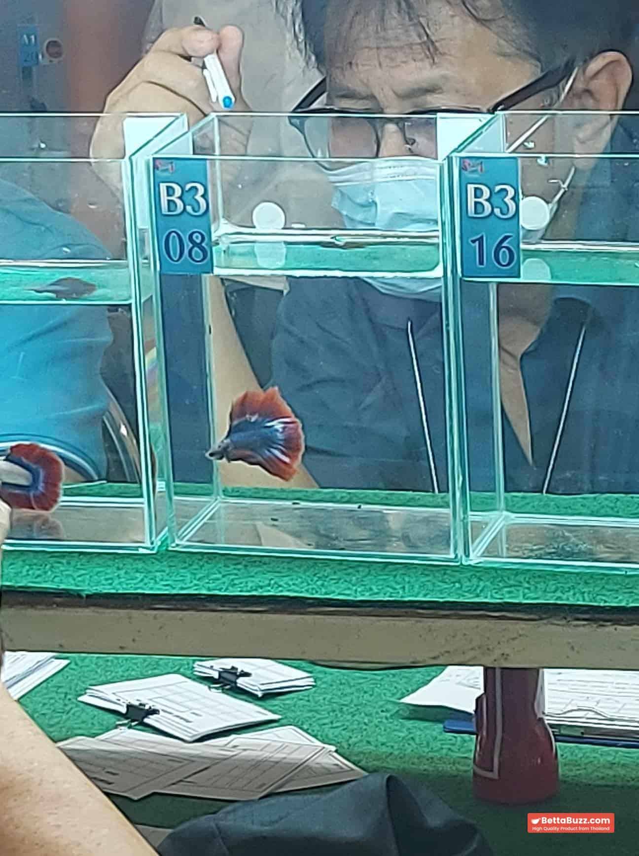 Winner 3rd place DTHM Thailand Flag - Image 2